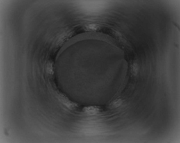 X0000101460331200807141312