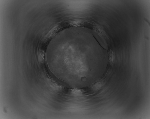 X0000101460332200807141312