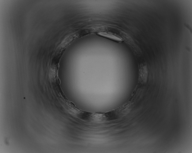 X0000101460333200807141312