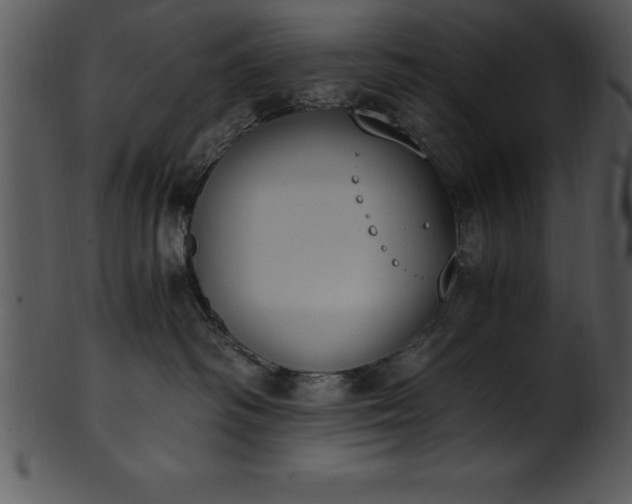 X0000101460334200807141312