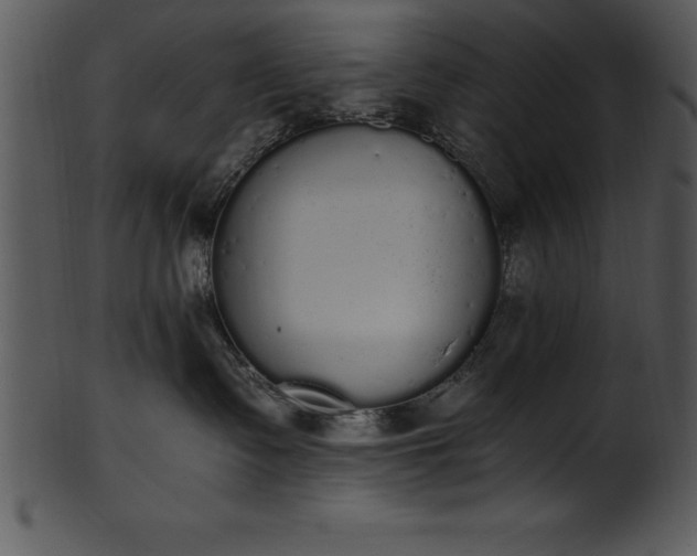 X0000101460335200807141312