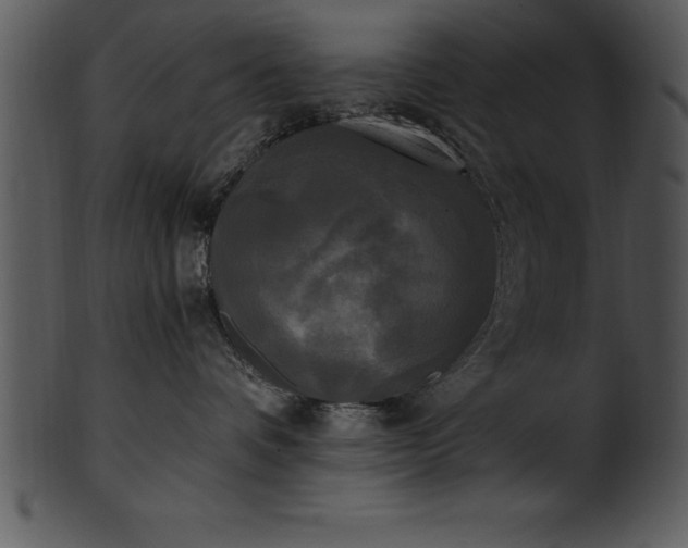 X0000101460336200807141312