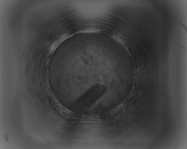 X0000101460337200807141312