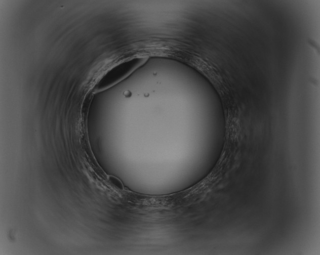 X0000101460338200807141312