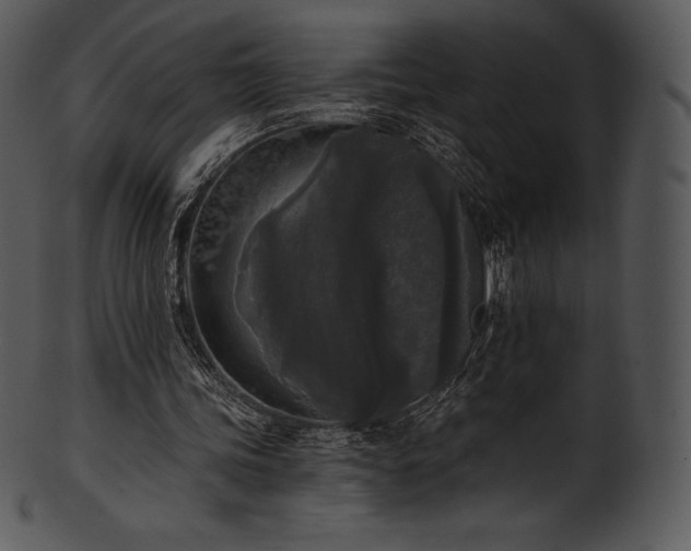 X0000101460339200807141312