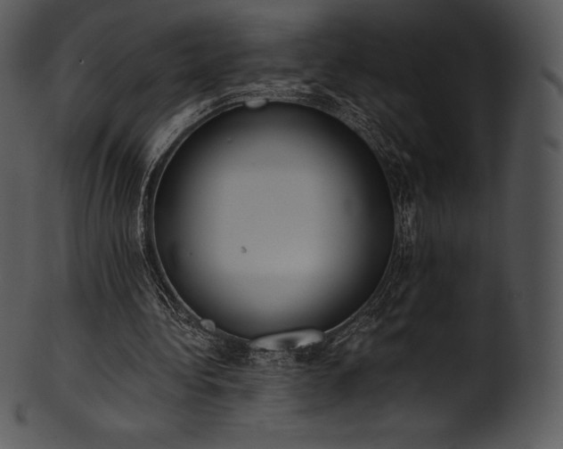X0000101460340200807141312