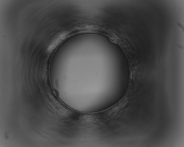 X0000101460341200807141312