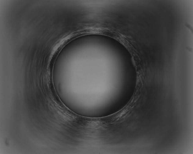 X0000101460342200807141312