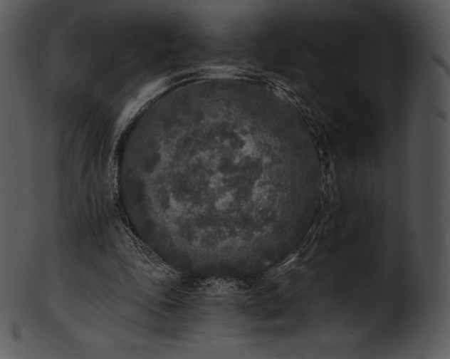 X0000101460343200807141312