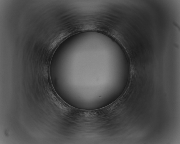 X0000101460345200807141312