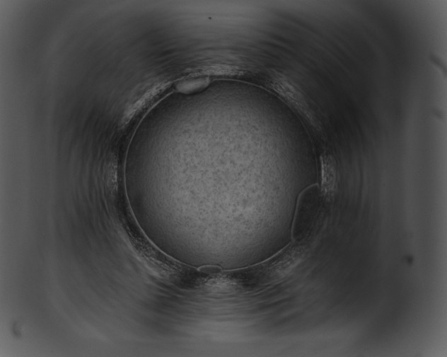 X0000101460348200807141312