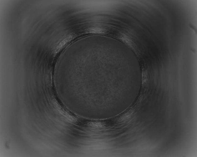 X0000101460349200807141312