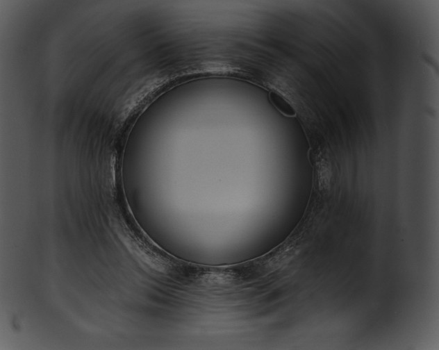 X0000101460350200807141312