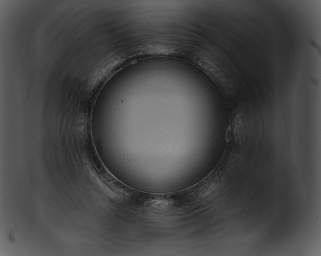 X0000101460352200807141312