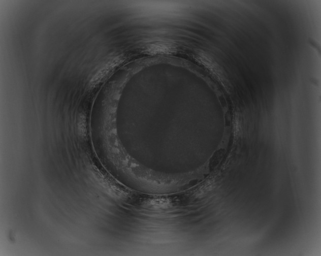 X0000101460353200807141312