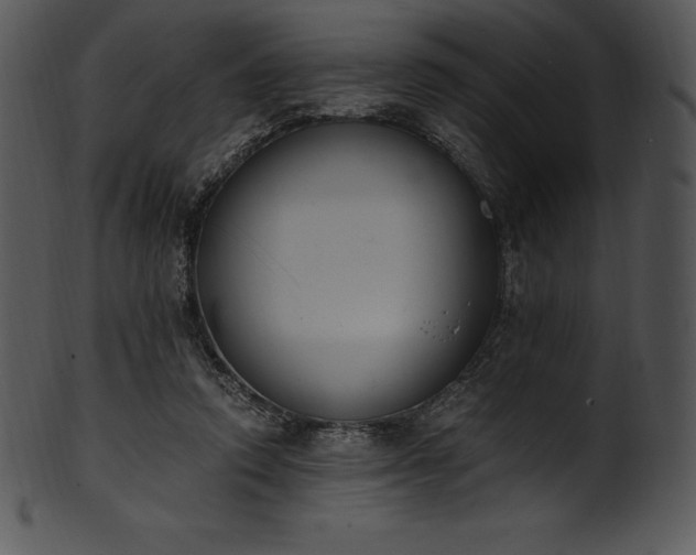 X0000101460354200807141312