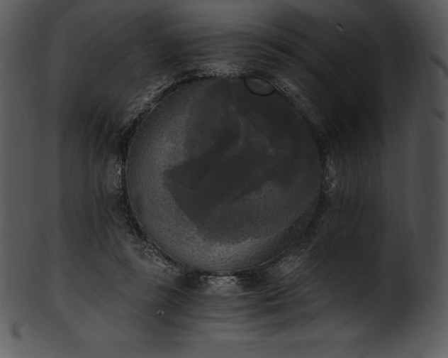 X0000101460355200807141312