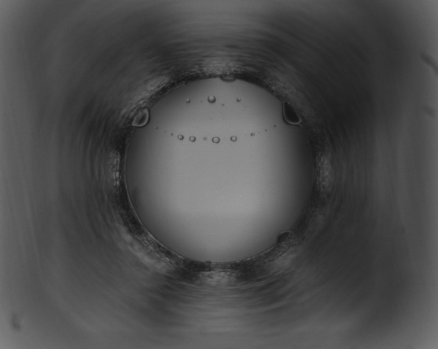 X0000101460356200807141312