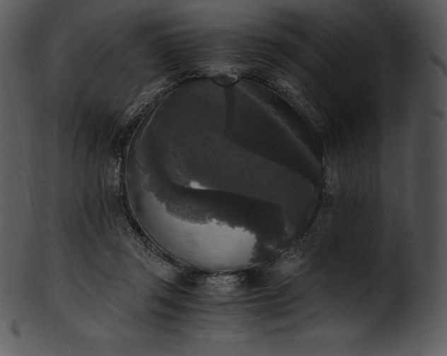 X0000101460357200807141312