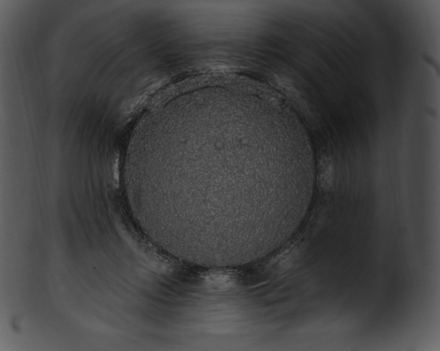 X0000101460358200807141312