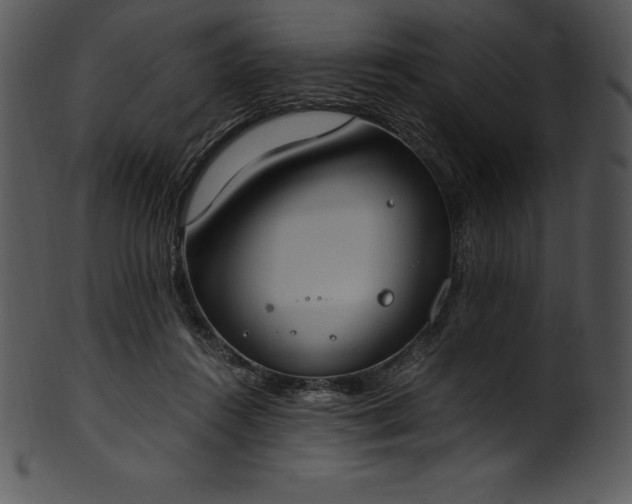 X0000101460360200807141312