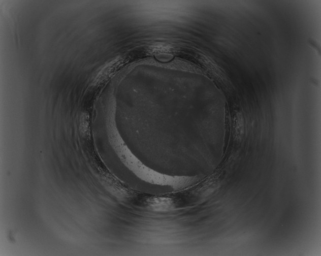 X0000101460361200807141312