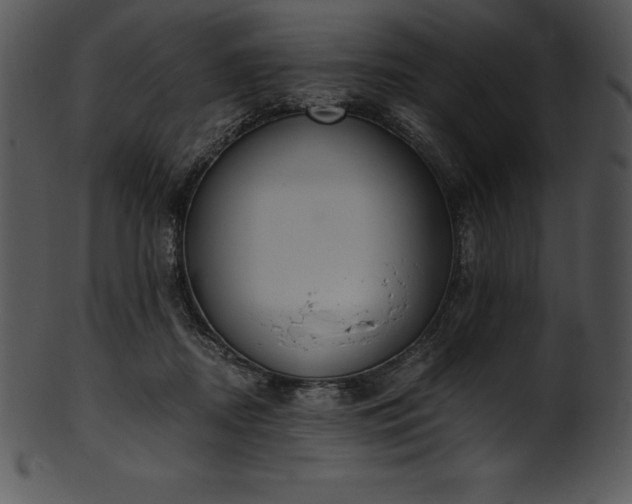 X0000101460362200807141312