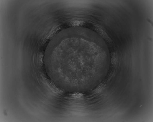 X0000101460363200807141312