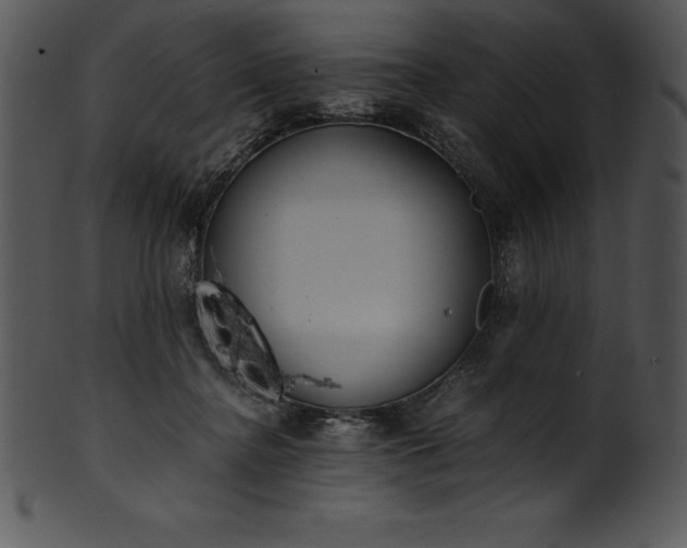 X0000101460364200807141312