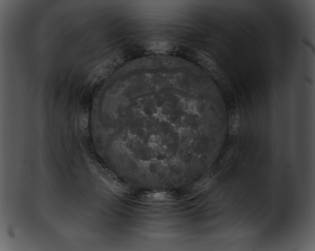 X0000101460365200807141312