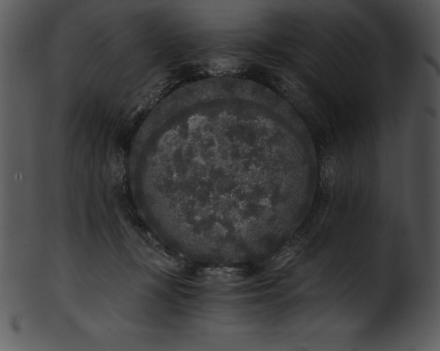 X0000101460367200807141312