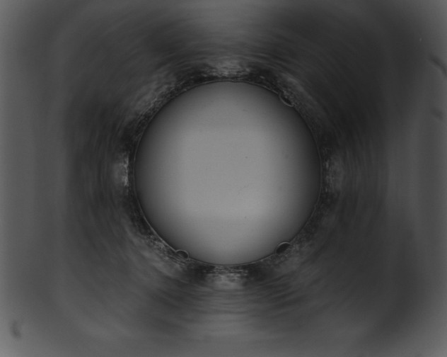 X0000101460368200807141312