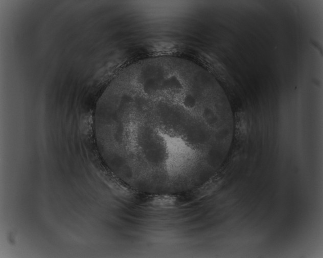 X0000101460369200807141312