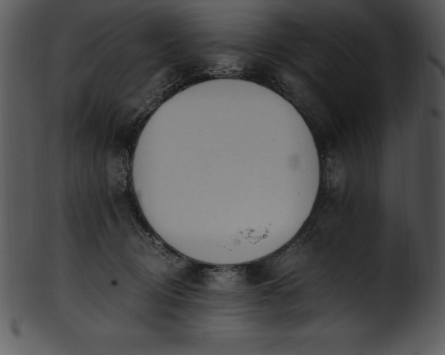 X0000101460370200807141312