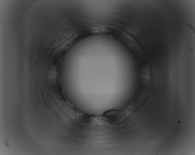 X0000101460372200807141312