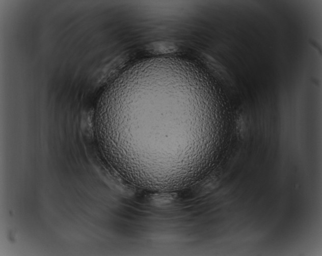 X0000101460373200807141312