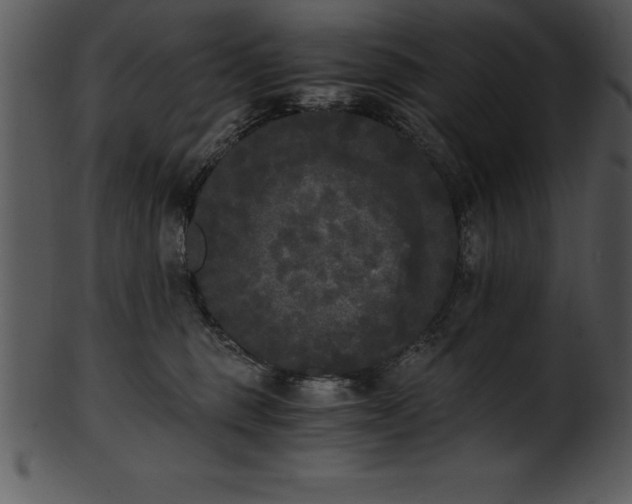 X0000101460375200807141312