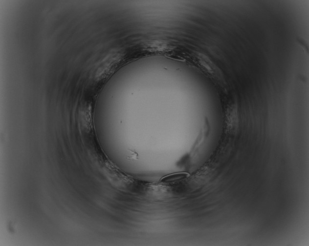 X0000101460376200807141312