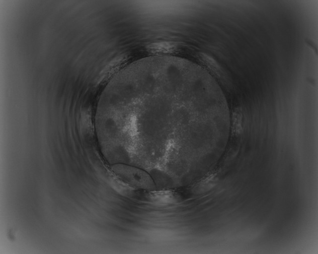 X0000101460377200807141312