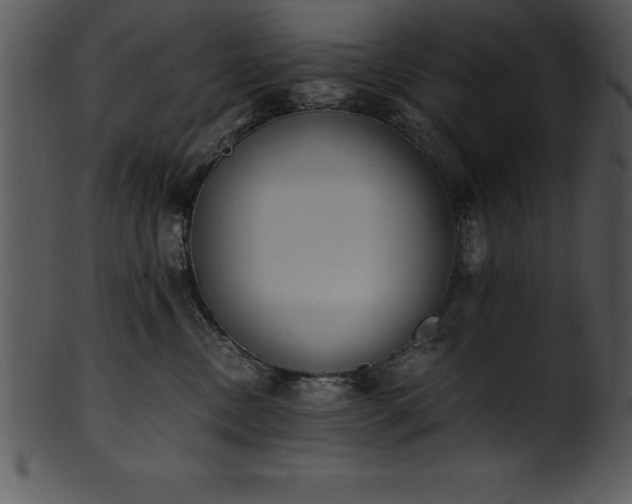 X0000101460378200807141312
