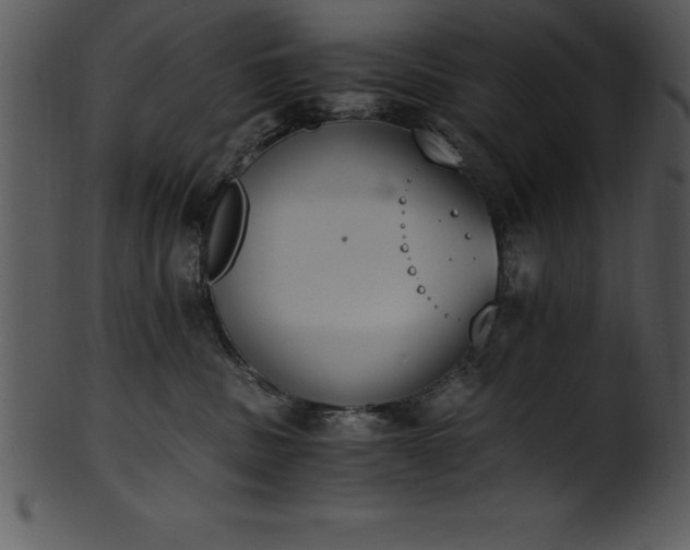 X0000101460379200807141312