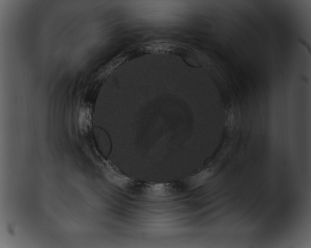 X0000101460382200807141312