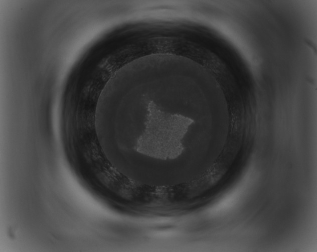 X0000101460383200807141312