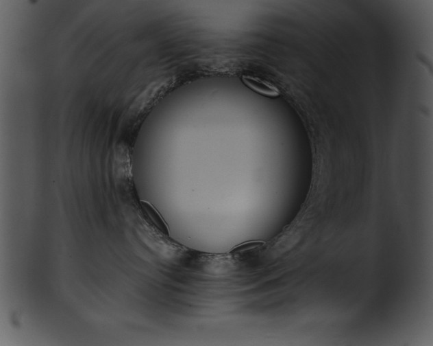 X0000101460384200807141312