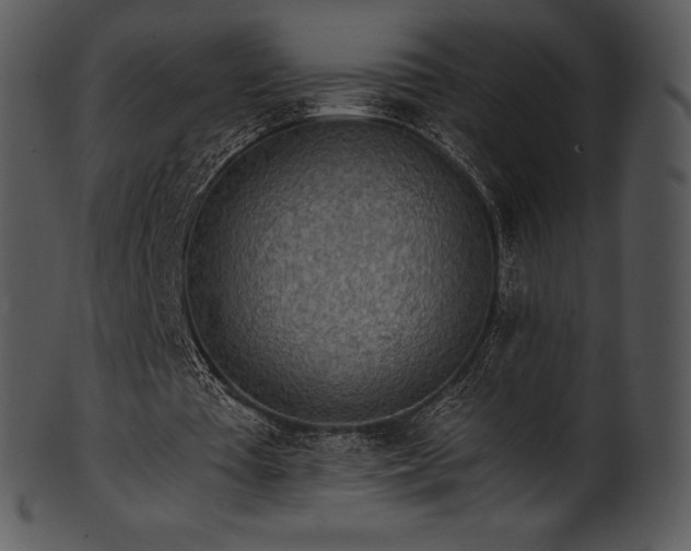 X0000101460385200807141312