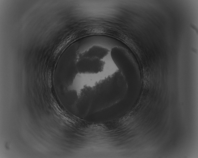 X0000101460386200807141312