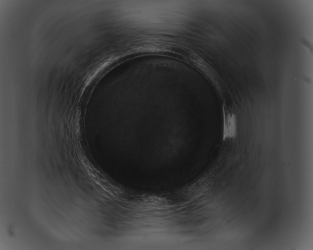 X0000101460387200807141312