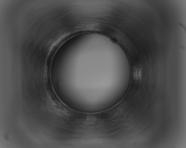 X0000101460388200807141312