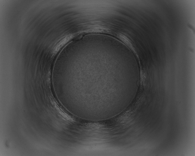 X0000101460389200807141312