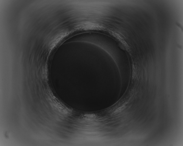 X0000101460391200807141312